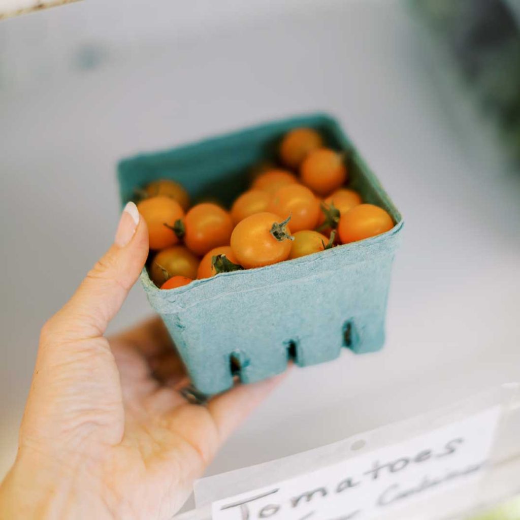 cherry-tomotoes-farm