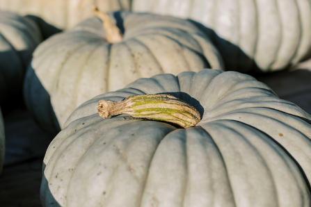 Seasonal Products