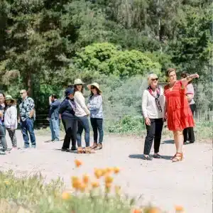 Dare 2 Dream Farms – Large Group Farm Tour (1.5 hrs | 11-20 people) - Image 2