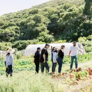 Dare 2 Dream Farms – Small Group Farm Tour (1 hr | 6-10 people)