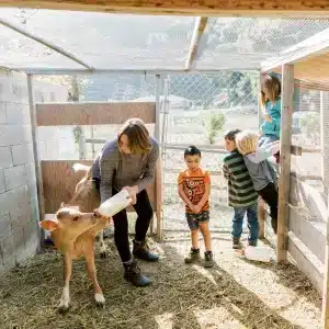 Dare 2 Dream Farms – Family Farm Tour (45 mins | 2-5 people) - Image 2