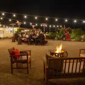 Dare 2 Dream Farms – Large Group Farm Tour (1.5 hrs | 11-20 people)